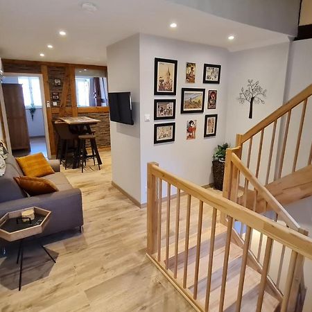 Appartement Duplex Climatise Avec Terrasse "Hansi" 科尔马 外观 照片