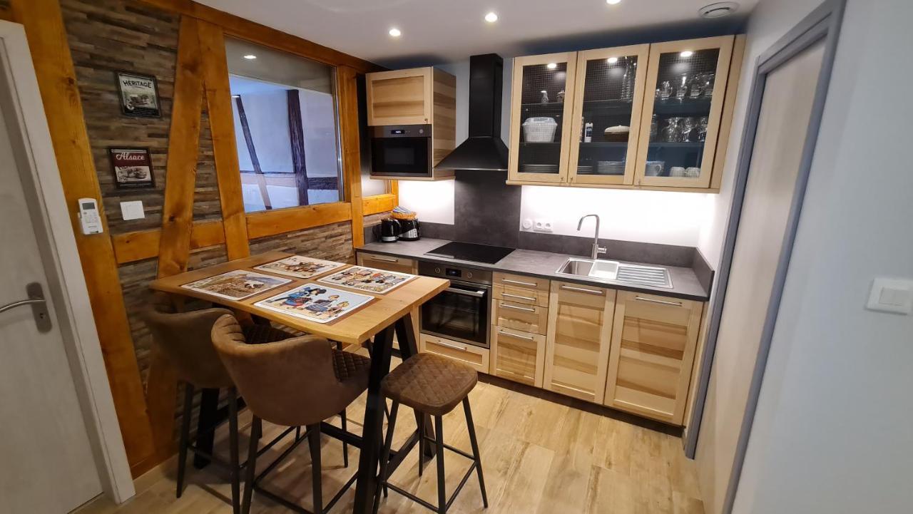 Appartement Duplex Climatise Avec Terrasse "Hansi" 科尔马 外观 照片