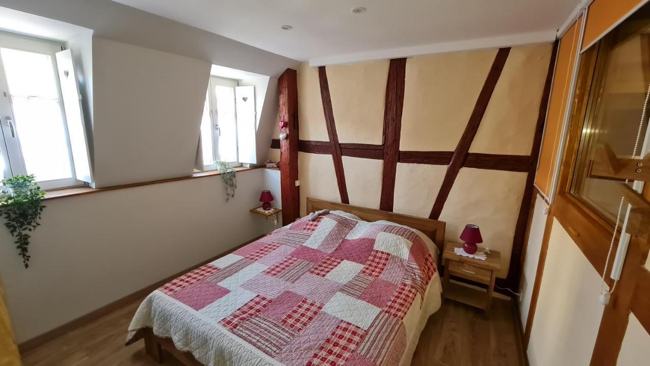 Appartement Duplex Climatise Avec Terrasse "Hansi" 科尔马 外观 照片