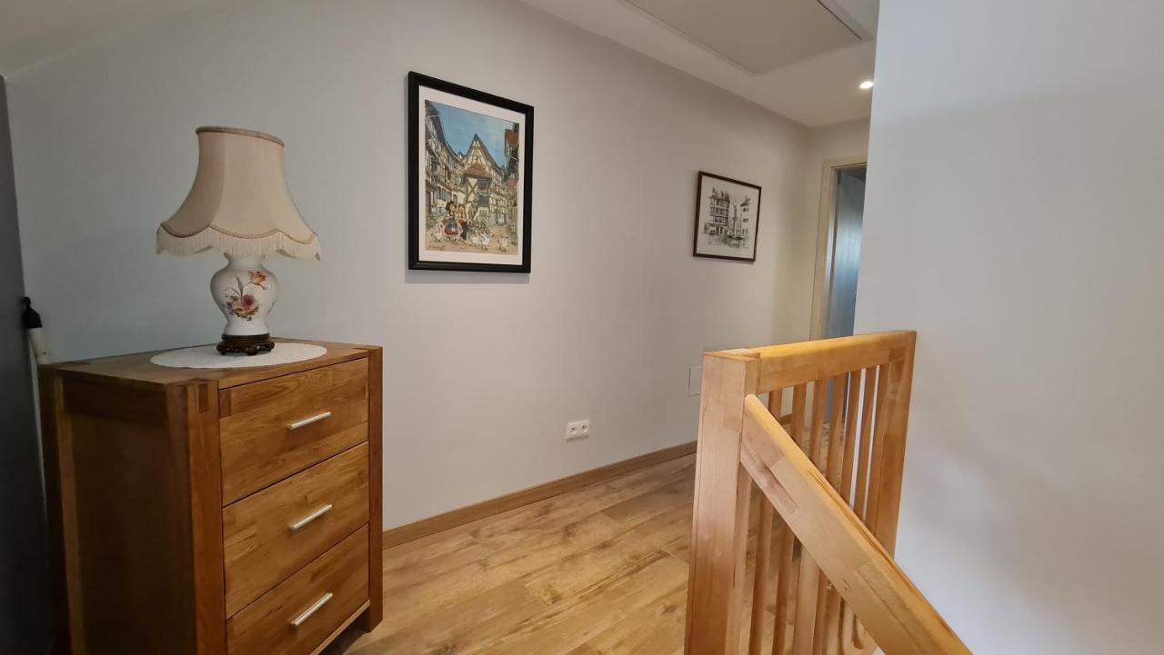 Appartement Duplex Climatise Avec Terrasse "Hansi" 科尔马 外观 照片