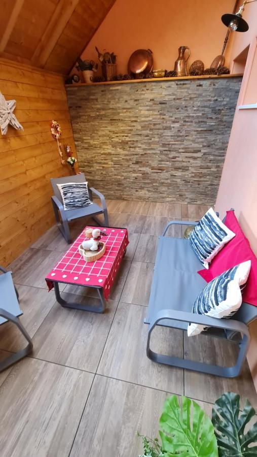 Appartement Duplex Climatise Avec Terrasse "Hansi" 科尔马 外观 照片